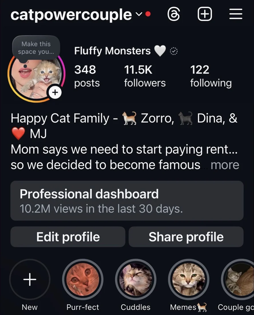 Cat Power Couple Instagram profile showing 11.5K followers and 10.2M views in the last 30 days