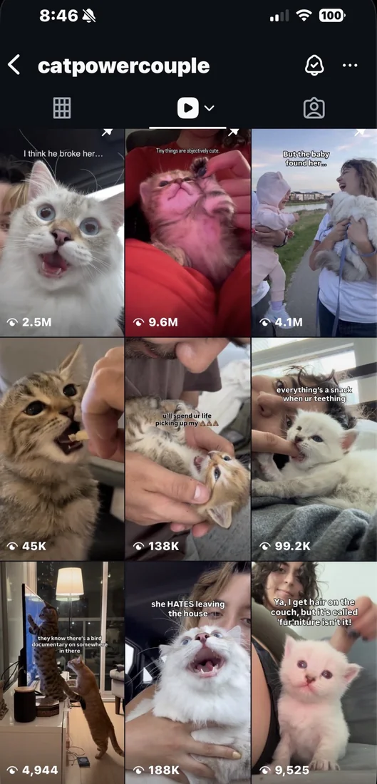 Cat Power Couple reels grid showing videos at 9.6M, 4.1M and 2.5M views